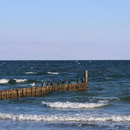 Fairschlafen Boutique Mit Hotelkomfort - Kombuese 0-05 Mit Privater Terrasse * Neustadt in Holstein